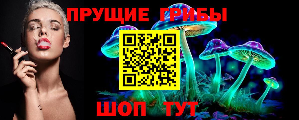 купить  цена  Псилоцибиновые грибы прущие грибы  Вход с VPN  Псилоцибиновые грибы Magic Shrooms  Звенигород 